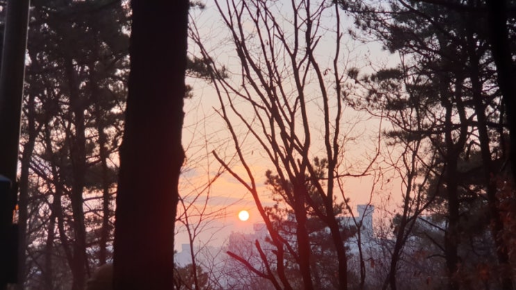  매봉산 일출