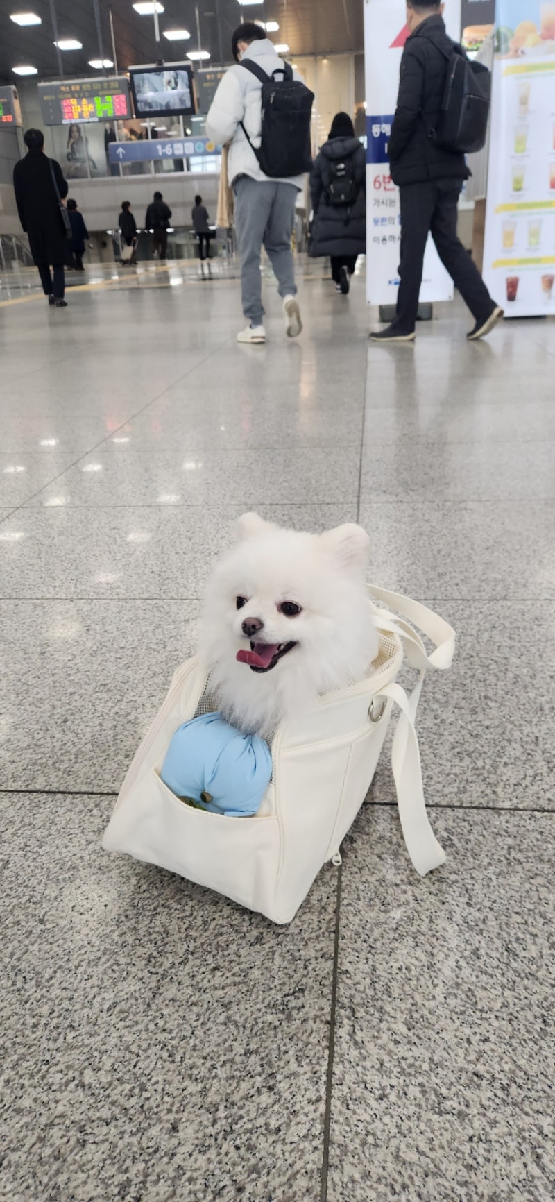 사진 2