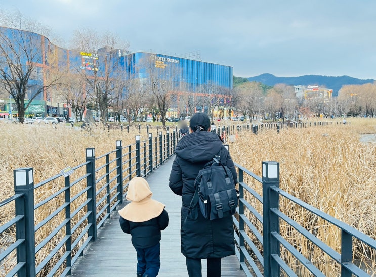 엘리니아 기저귀가방 백팩 두돌 아기 엄마 아빠 국민 육아템 추천 엘리니아 기저귀가방 백팩 두돌 아기 엄마 아빠 국민 육아템 추천