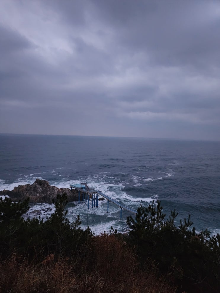 해맞이...바람맞았어요^^
