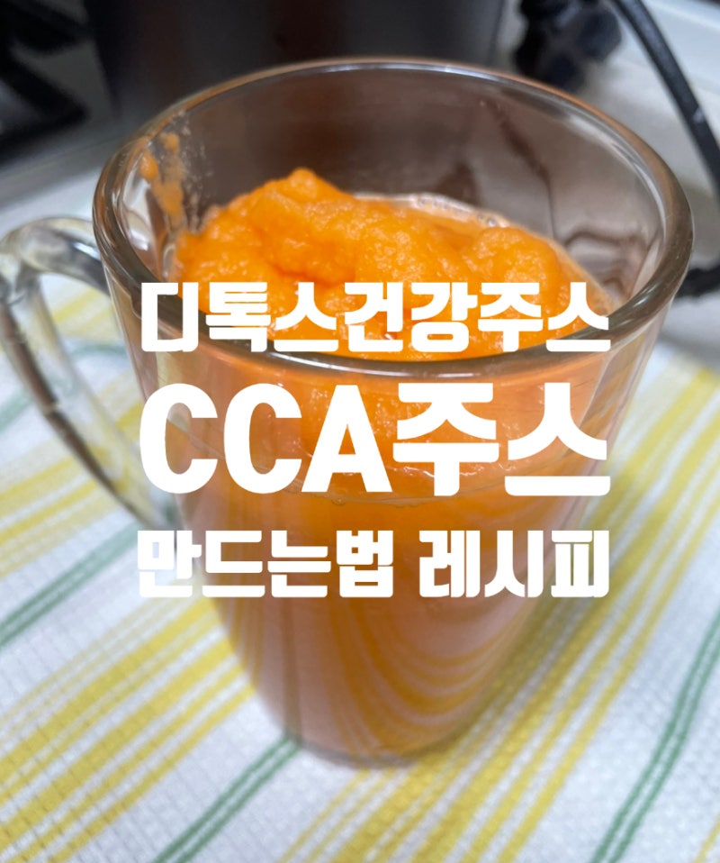 조승우 한약사의 CCA 주스 만들기 만드는 법 건강주스 추천
