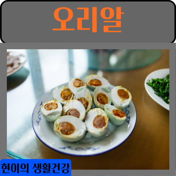  오리알 효능 부작용 영양성분 칼로리