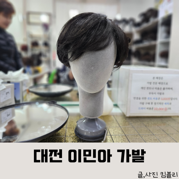  내돈내산 대전 항암 가발, 부분 가발 전문 이민아 가발 비용 종류 AS