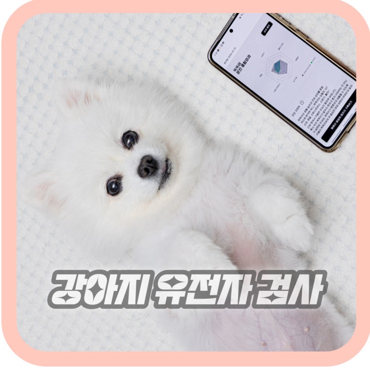  강아지 유전자 검사 어플로 비용 없는 건강검진 영양케어
