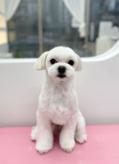 사진 3