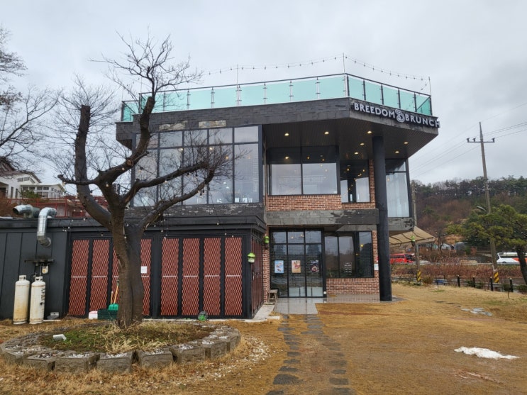  [군산] 군산대 브런치카페 브리덤 커피&브런치 - 영업시간, 메뉴, 주차, 후기