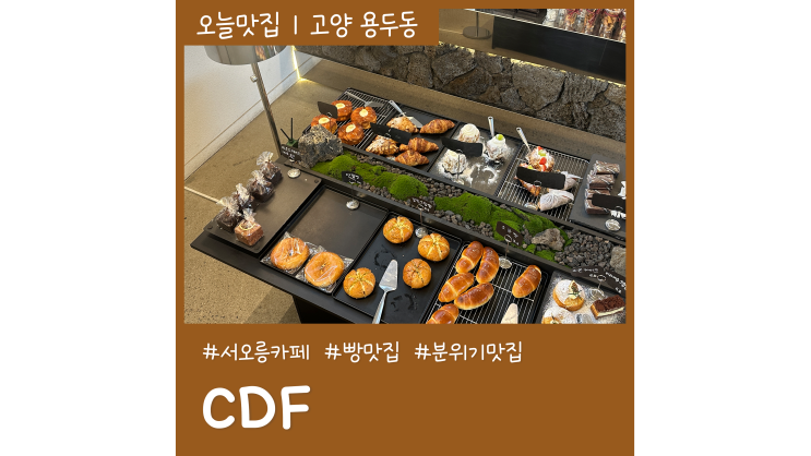 서오릉 카페 CDF 후기 대반전 최애 등극
