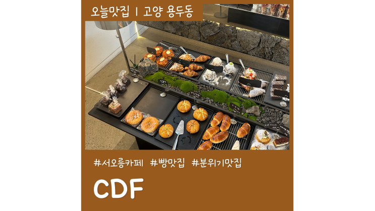 서오릉 카페 CDF 후기 대반전 최애 등극 서오릉 카페 CDF 후기 대반전 최애 등극