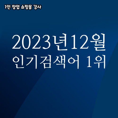  2023년 12월 네이버쇼핑 분야별 인기 검색어 1위