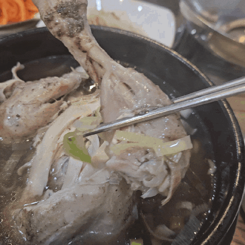 수원오리백숙 대나무촌 일월수목원 맛집 보양식으로 능이삼계탕 수원오리백숙 대나무촌 일월수목원 맛집 보양식으로 능이삼계탕