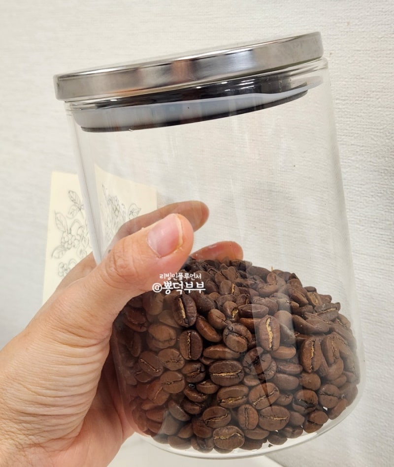다이소 추천템 홈카페용품 원두보관용기로 진공 원두 보관 팁