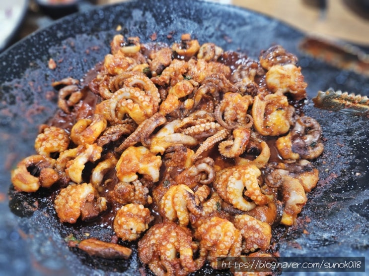  일산 쭈꾸미 외포리소금집 맛있게 매운 철판 쭈꾸미