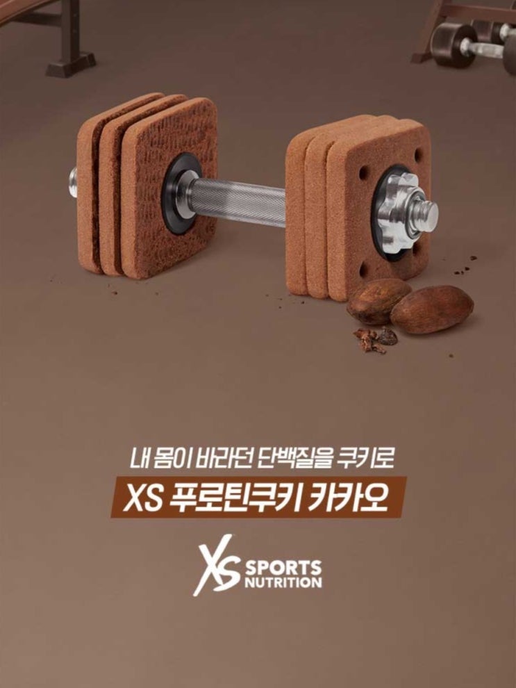  푸로틴 카카오맛 암웨이 신제품