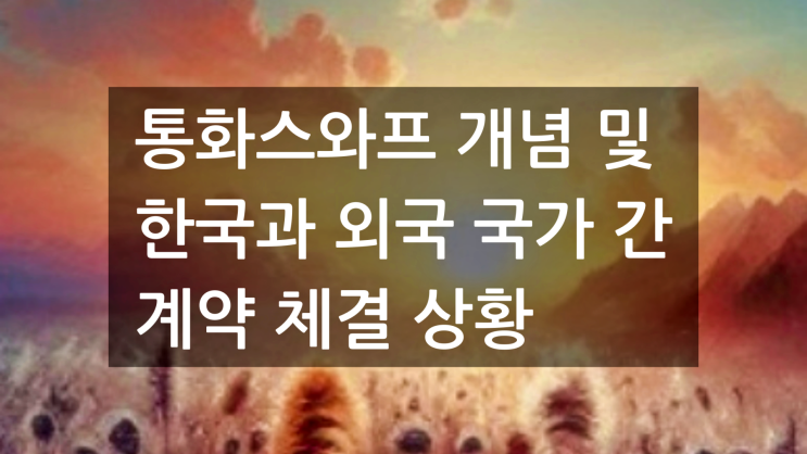  통화스와프 개념 및 한국과 외국 국가 간 계약 체결 상황