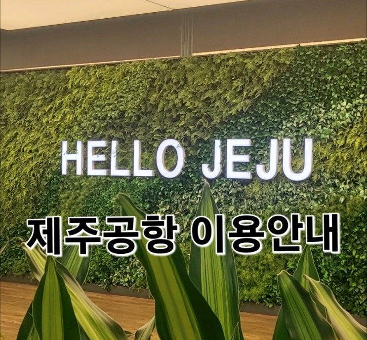  [제주도] 제주공항 이용안내 (제주공항 혼잡도/수속 예상시간/주차안내/주차요금/링크 포함)