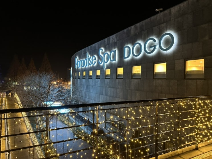 [충남/아산] 국내 겨울 온천 여행 : 연인, 가족과 함께 즐기기 좋은 스파 워터파크 <파라다이스스파도고>