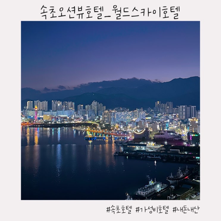  속초 오션뷰 호텔 :: 내돈내산 가성비 좋은 애견동반 속초숙소 [월드스카이호텔_스탠다드더블호수]