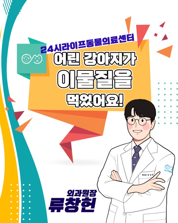 24시라이프동물의료센터 : 새끼 강아지의 이물질 섭취, 강아지 식도 이물