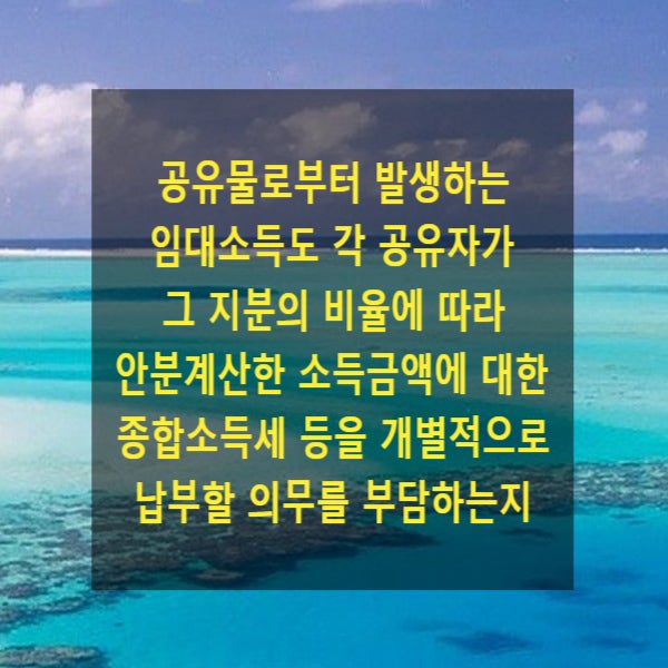  공유물로부터 발생하는 임대소득도 각 공유자가 그 지분의 비율에 따라 안분계산한 소득금액에 대한 종합소득세 등을 개별적으로 납부할 의무를 부담하는지