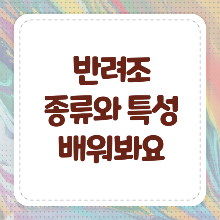  반려조관리사 1급 자격증 후기 알려드릴게요 ?