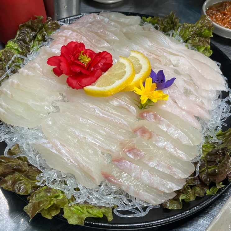  신촌맛집 제철회 먹기 좋은 신촌청정회집 신촌역 광어맛집 신촌청정횟집