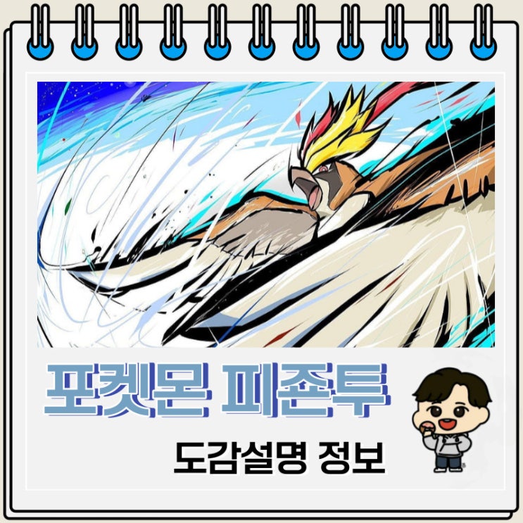 포켓몬스터 피죤투 도감설명 정보 포켓몬스터 피죤투 도감설명 정보