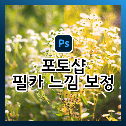  [포토샵 강의] 필카 느낌 색감 보정