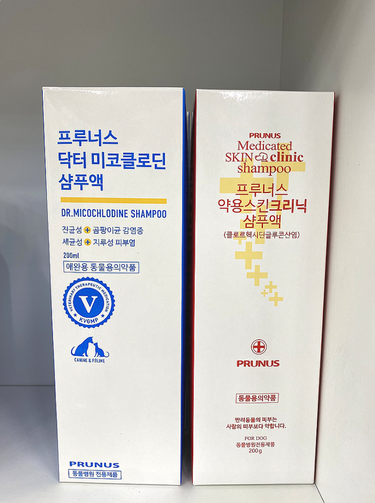  부산 프루너스 약용샴푸 파는 약국! #닥터미코클로딘, 약용스킨크리닉 곰팡이 세균 비듬 샴푸