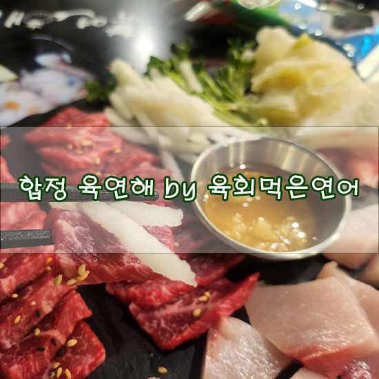  [합정 횟집/합정 방어 맛집] 육연해 방어육사시미 먹고온 후기