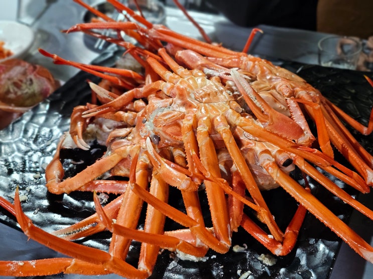  홍게랑에서 홍게 무한리필로 먹방하고 온 후기! 속초 중앙시장 맛집 추천
