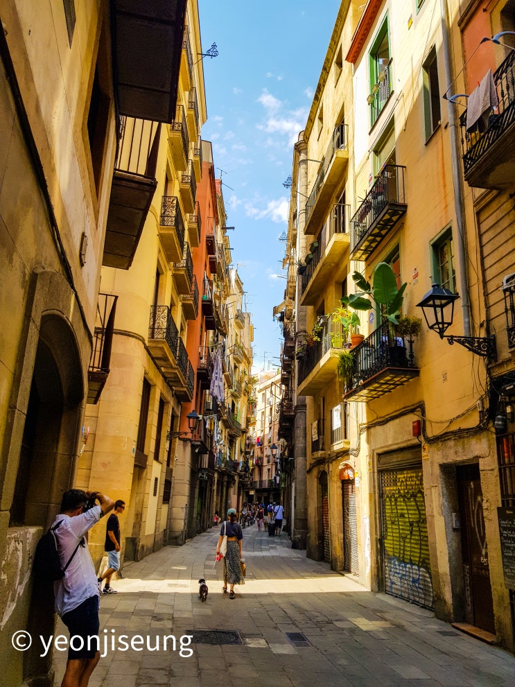 스페인의 보석 바르셀로나 누비기 : 도시 역사와 건축물