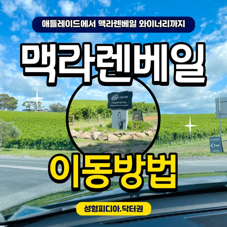 [호주] 맥라렌 베일 와이너리 이동방법 (feat. 애들레이드 여행)