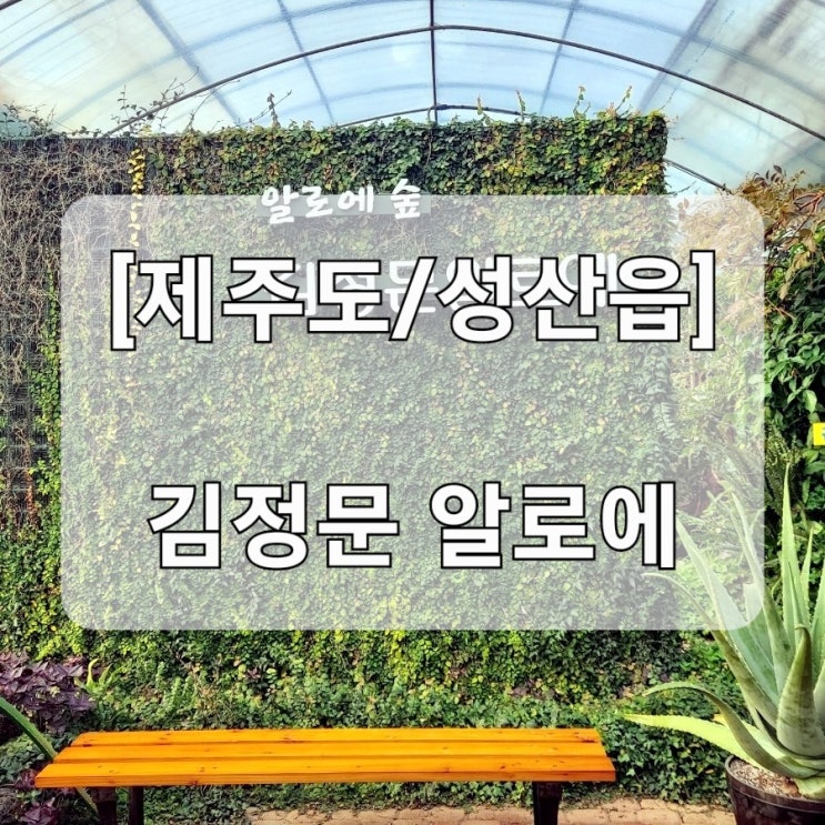  [제주도/성산읍] 김정문 알로에 (영업시간/휴무일/포토스팟/기념품 링크포함)