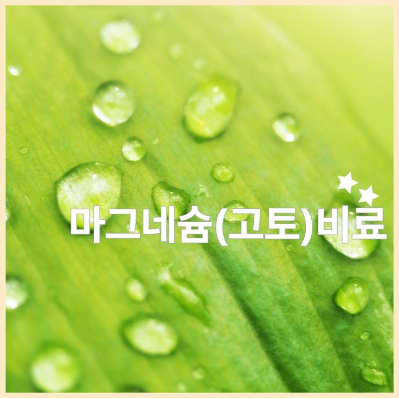 황산마그네슘 고토비료와 질산고토, 역할과 차이점