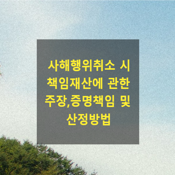  사해행위취소 시 책임재산에 관한 주장․증명책임 및 산정방법