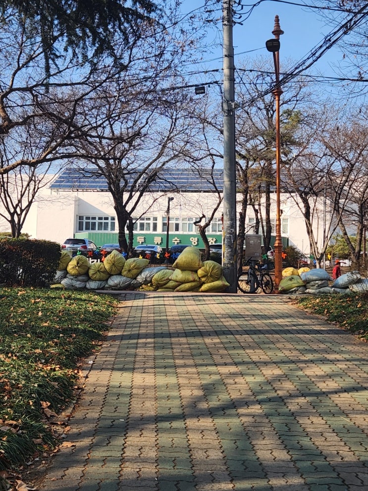  대구 두류수영장 평일 자유수영 후기