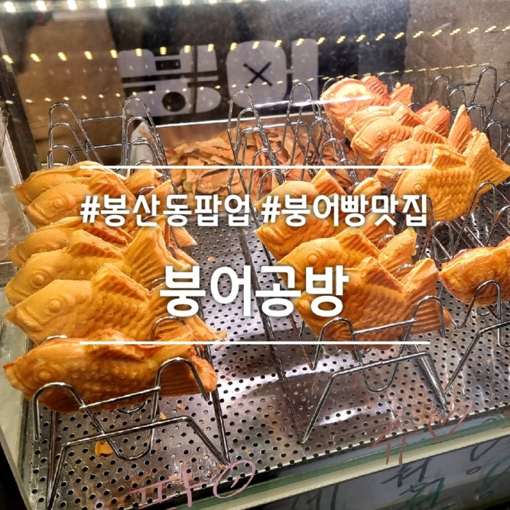 대구 봉산동 팝업스토어] 붕어공방 || 붕어빵 맛집 (팥붕 슈붕 고구마붕 초코붕 애플붕)