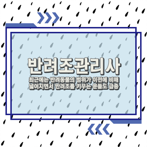  제2인생 대비해요 !!! 반려조관리사