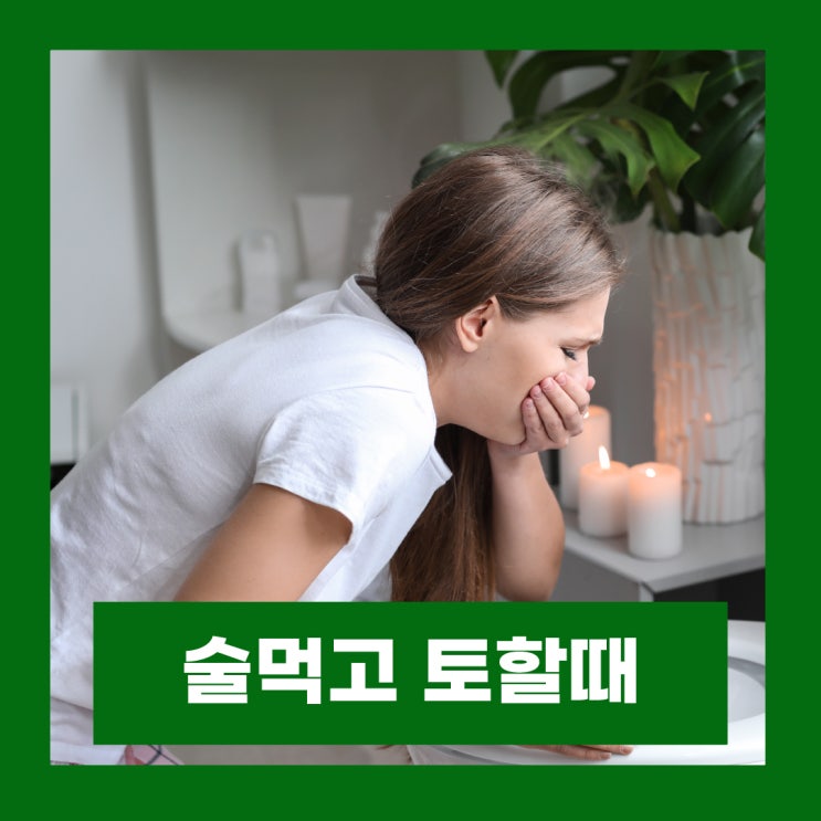  술먹고 토할때 약 피 속안좋을때 음식 계속 토하는 이유