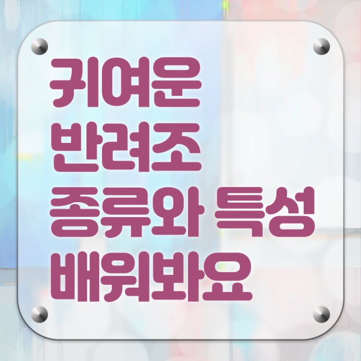  반려조관리사 1급 자격증 빠른 취득 정보꾸러미 !!!