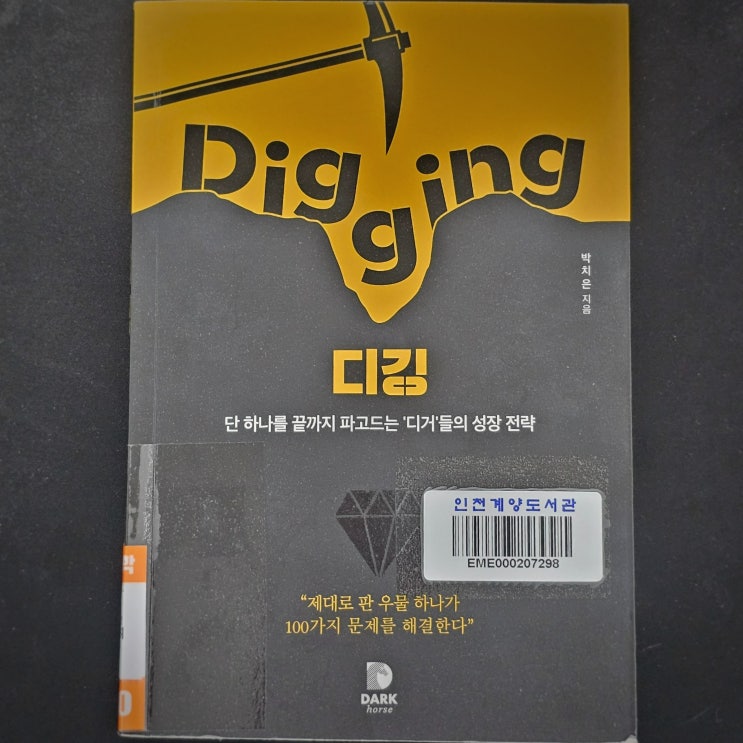  한 우물만 냅다 파면 벌어지는 일 - 박치은의 디깅 책 리뷰