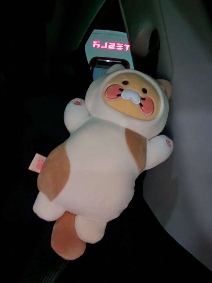  테슬라모델Y rwd 2차 액세서리, 작은 사고 후기..