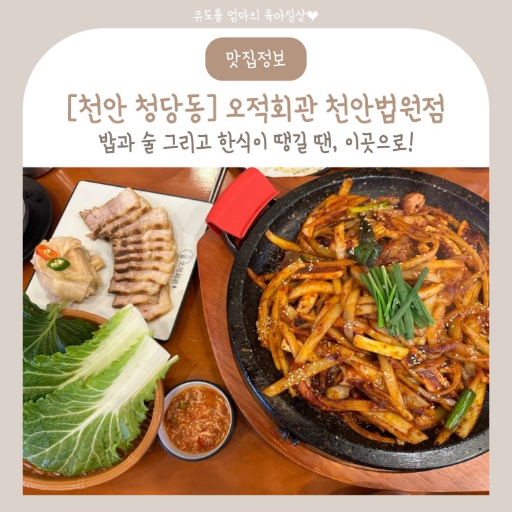 천안 청당동 오적회관 불맛 가득 돌판 오징어볶음과 수육 맛집