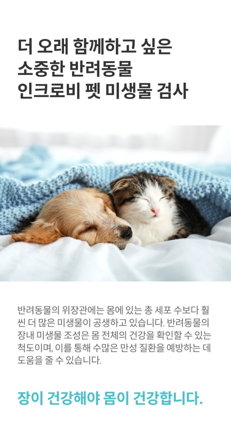  말 못하는 우리 강아지 고양이 건강을 위한 인크로비 펫 무료검사 솔직후기