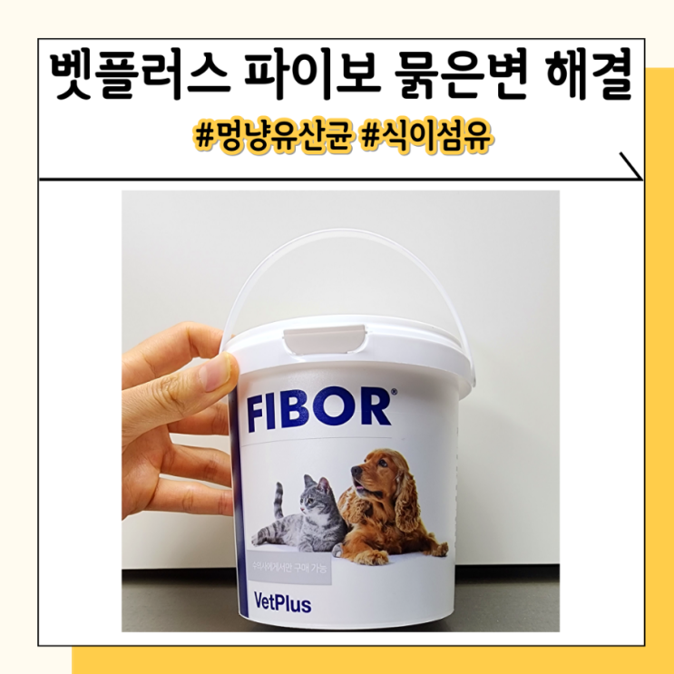 벳플러스 파이보 강아지 유산균 추천 3년째 먹이는 중 벳플러스 파이보 강아지 유산균 추천 3년째 먹이는 중