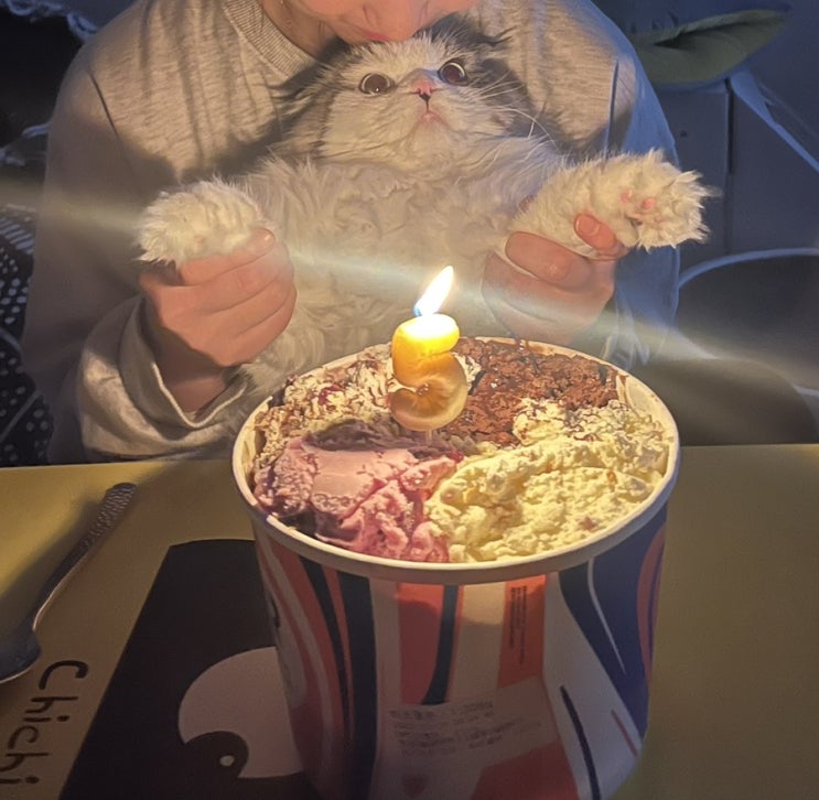  [일상] 새해가 밝았습니다만, 추억을 회상하며 남은 2023.12월
