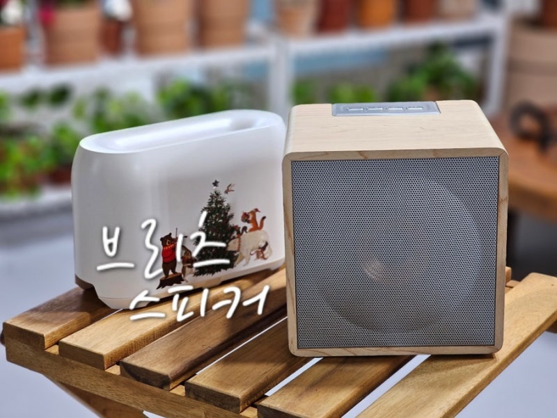 라디오 기능에 연결 쉬운 브리츠 블루투스 스피커 추천