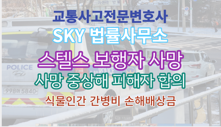  [교통사고전문변호사] 스텔스 보행자 취객 역과 사망_식물인간 피해자 간병비 손해배상금 합의_운전자보험처리_무료법률상담
