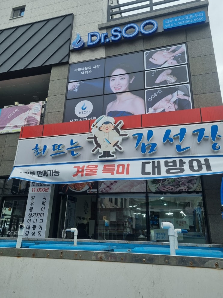  달동 회뜨는김선장에서 대방어 포장후기