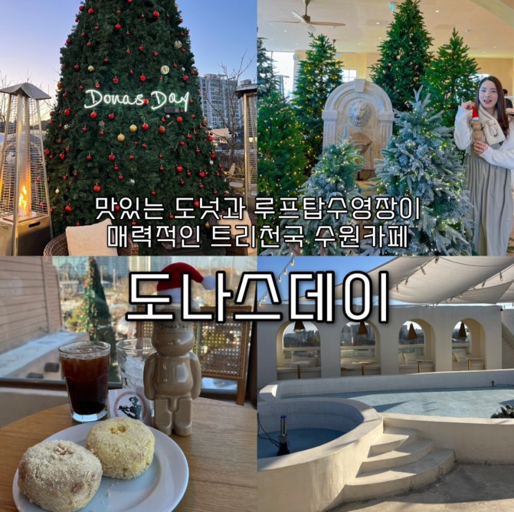  내돈내산 | 특별한 도나스를 파는 수원 오목천동 트리천국 대형 베이커리카페 “도나스데이 본점”